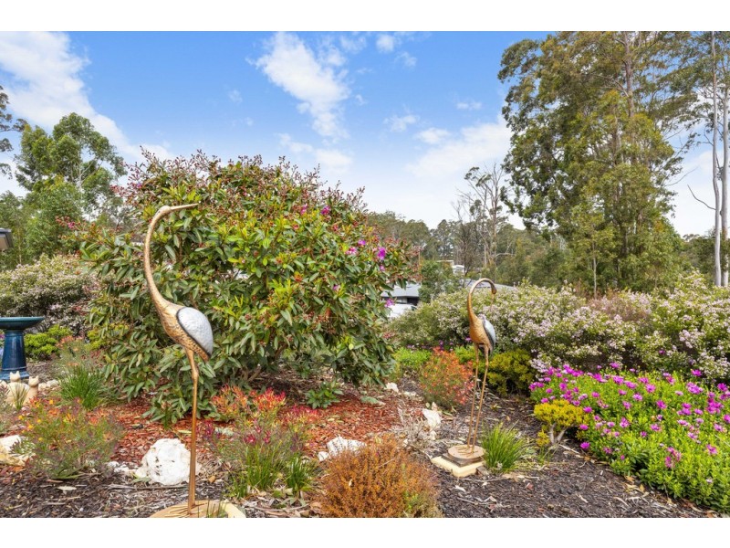 43 Litchfield Crescent, Long Beach NSW 2536