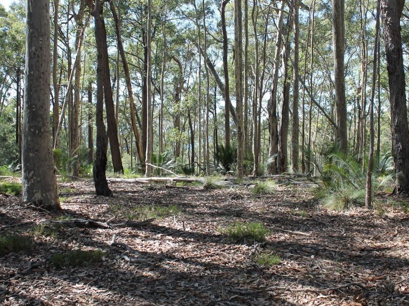 Lot 12 George Bass Drive, Malua Bay NSW 2536