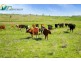 293 Nukku North Road, Blackbutt QLD 4306