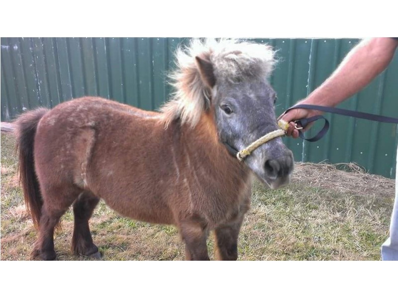 72 Hardgrave Road, Benarkin QLD 4306