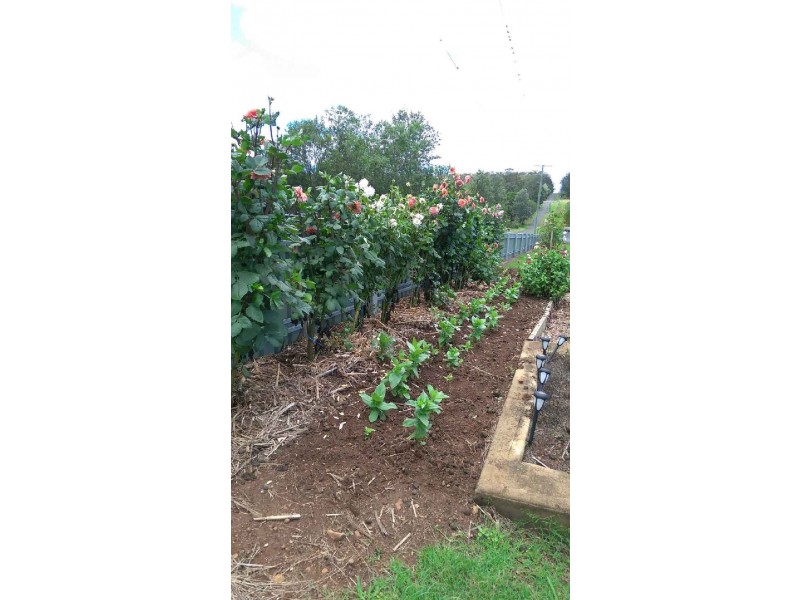 72 Hardgrave Road, Benarkin QLD 4306