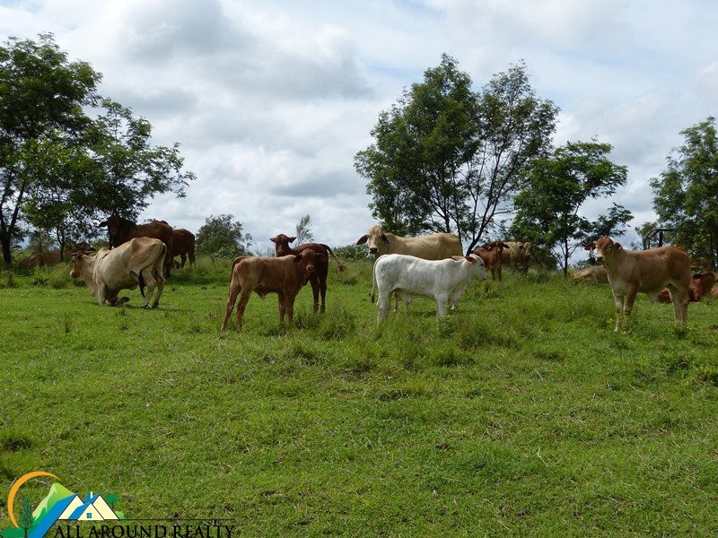 54 Gibsons Road, Yarraman QLD 4614