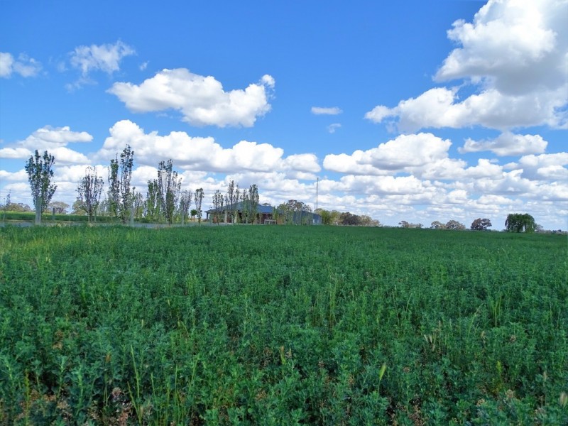 7171 Murray Valley Highway, Cohuna VIC 3568