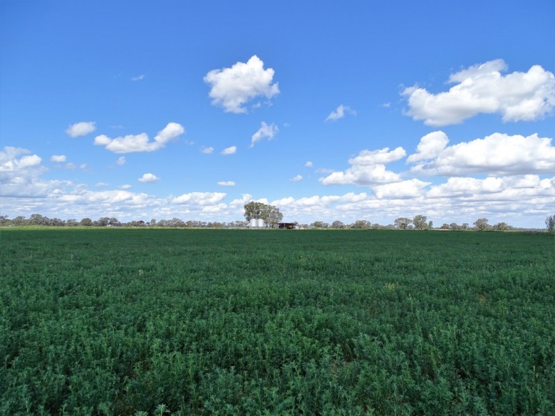 7171 Murray Valley Highway, Cohuna VIC 3568