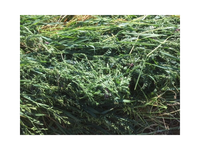 7171 Murray Valley Highway, Cohuna VIC 3568