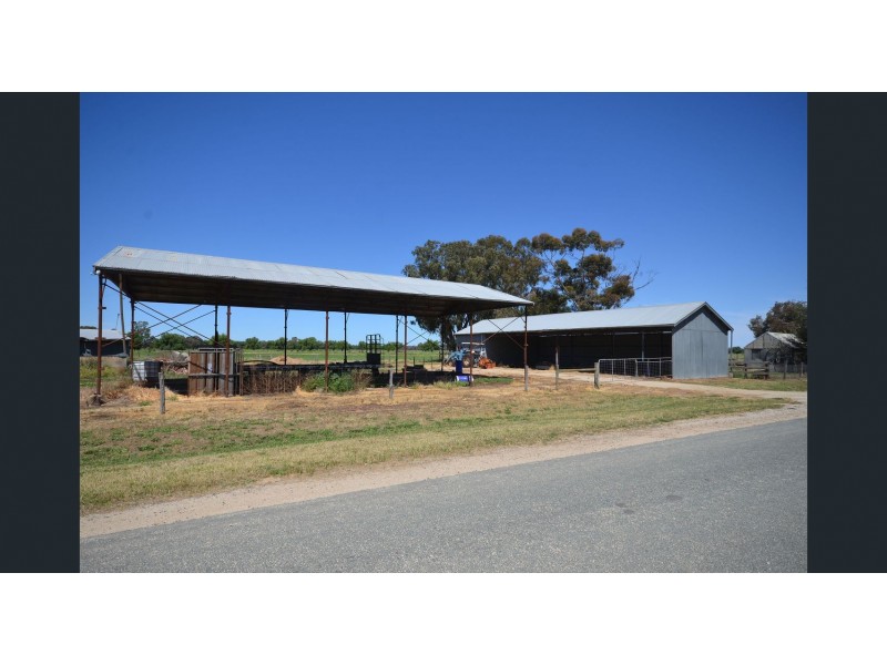 238 Fox Island Road, Gunbower VIC 3566