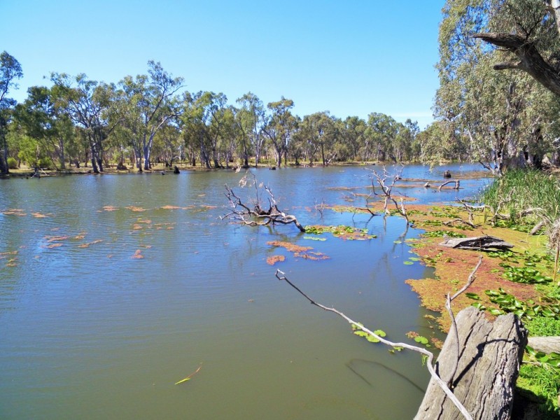 60 W Taylors Road, Cohuna VIC 3568