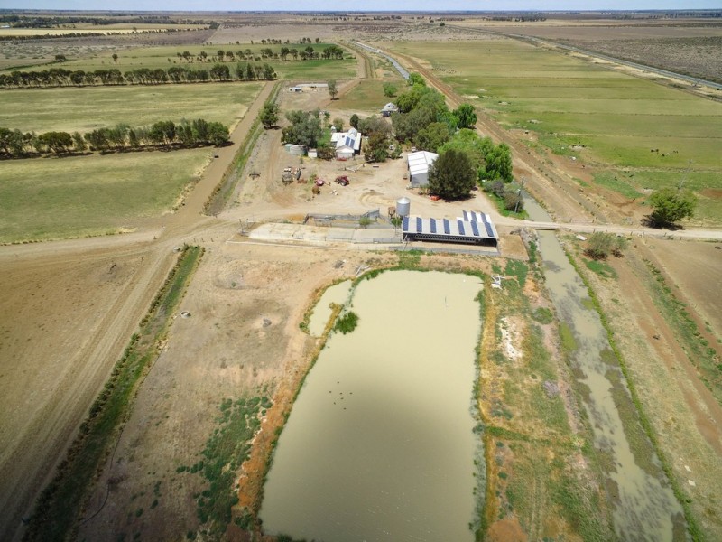 3336 Loddon Valley HWY, Tragowel VIC 3579