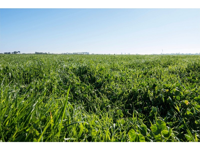 3336 Loddon Valley HWY, Tragowel VIC 3579