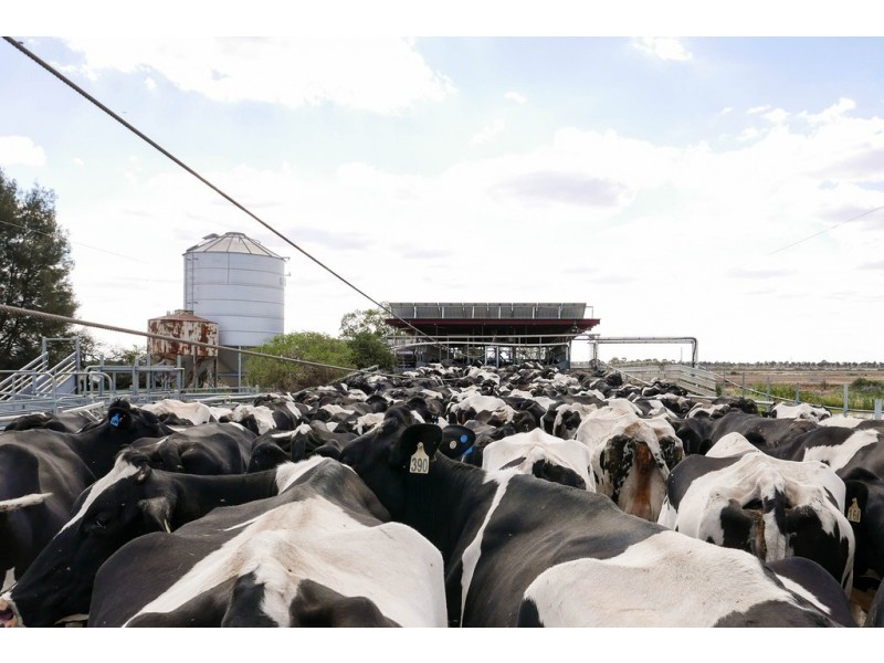 3336 Loddon Valley HWY, Tragowel VIC 3579