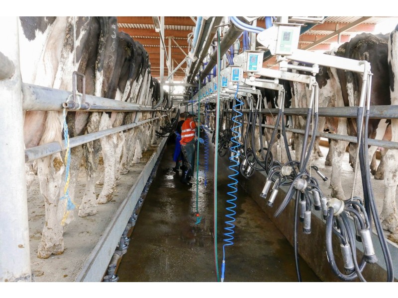 3336 Loddon Valley HWY, Tragowel VIC 3579