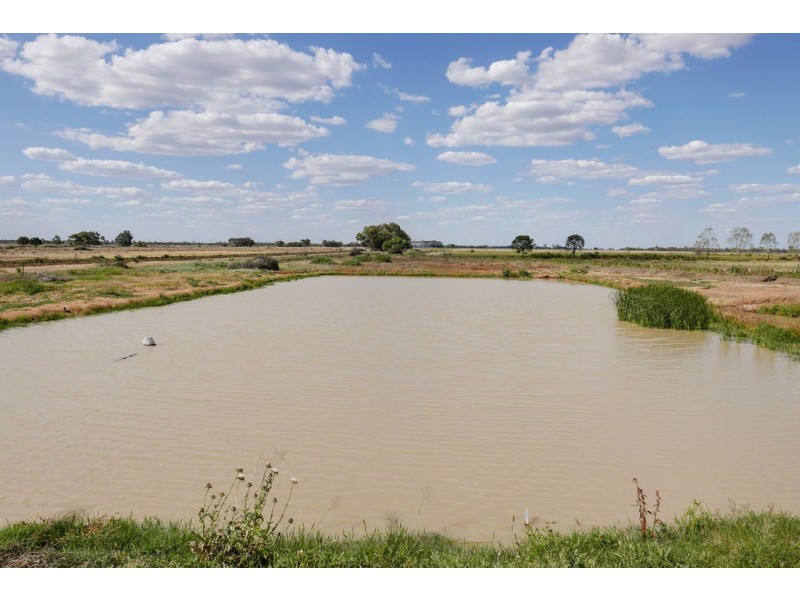 3336 Loddon Valley HWY, Tragowel VIC 3579