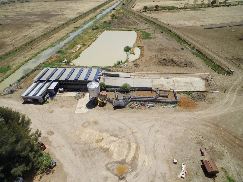 3336 Loddon Valley HWY, Tragowel VIC 3579