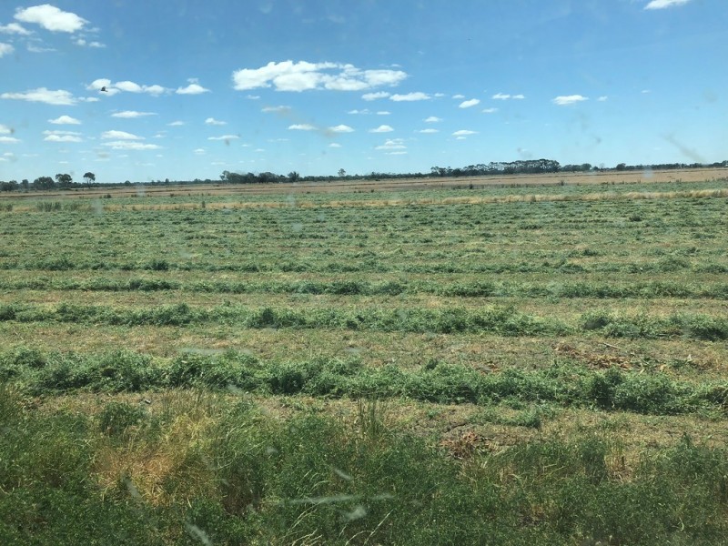 3336 Loddon Valley HWY, Tragowel VIC 3579