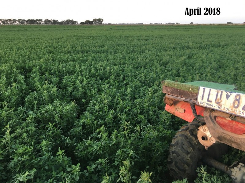 3336 Loddon Valley HWY, Tragowel VIC 3579