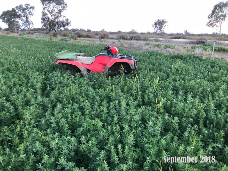 3336 Loddon Valley HWY, Tragowel VIC 3579