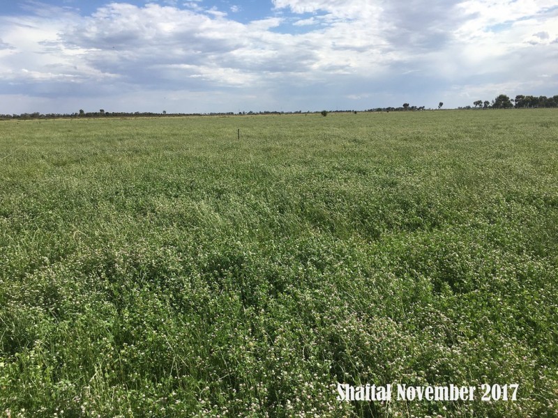 3336 Loddon Valley HWY, Tragowel VIC 3579