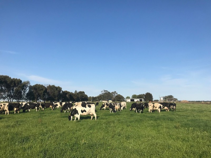 3336 Loddon Valley HWY, Tragowel VIC 3579