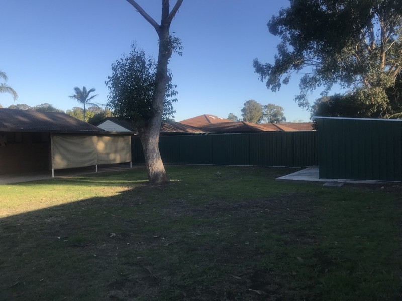 4 Jenkyn Place, Bligh Park NSW 2756