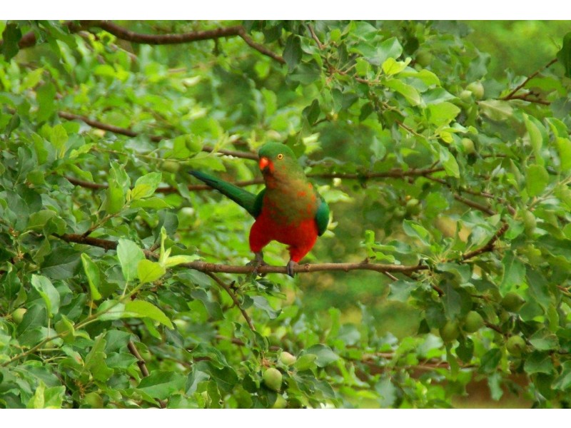 Kangaroo Valley NSW 2577