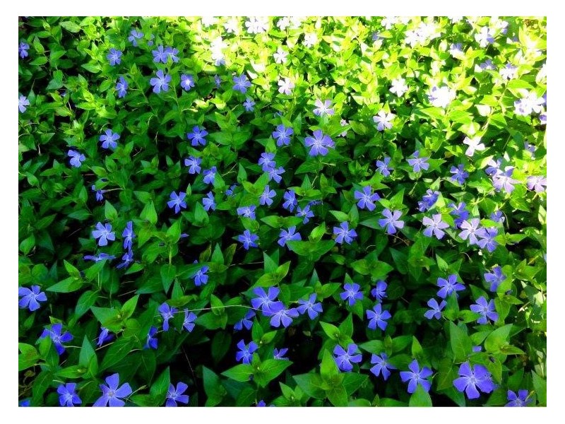 Kangaroo Valley NSW 2577