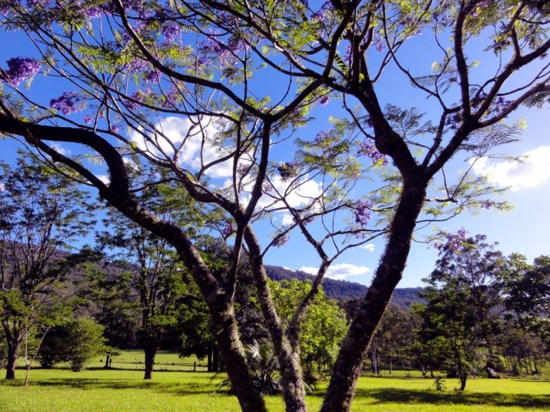 Kangaroo Valley NSW 2577