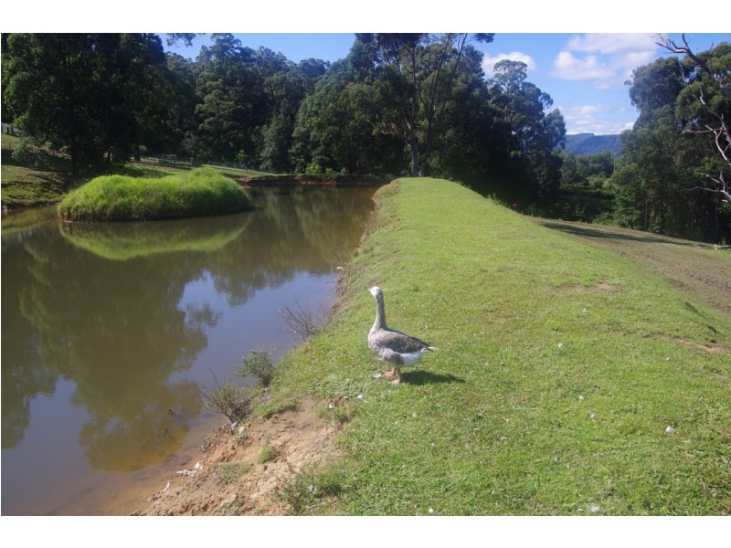 438 Duffy’s Lane, Kangaroo Valley NSW 2577
