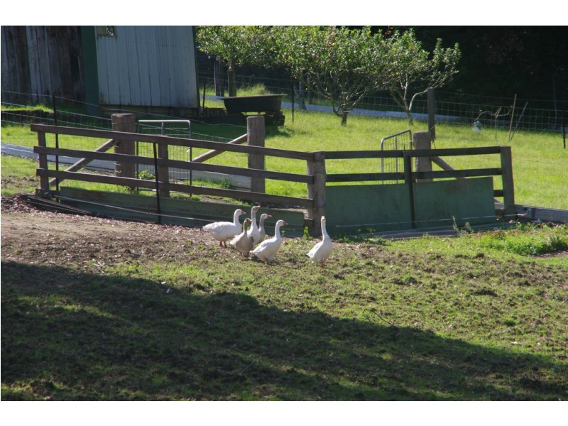 438 Duffy’s Lane, Kangaroo Valley NSW 2577