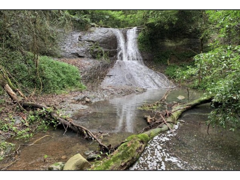 974 Wattamolla Road, Kangaroo Valley NSW 2577