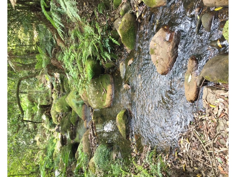 Kangaroo Valley NSW 2577