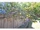 261 Illaroo Road, North Nowra NSW 2541