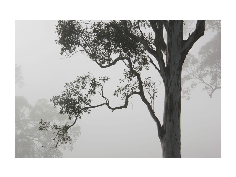 30 Nugents Creek Road, Kangaroo Valley NSW 2577