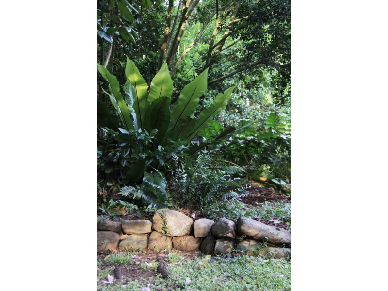 30 Nugents Creek Road, Kangaroo Valley NSW 2577