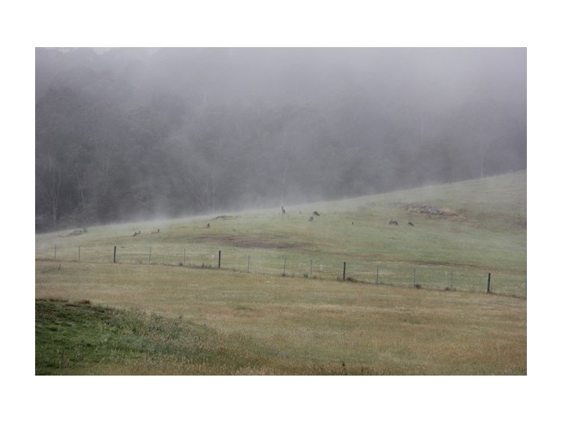 30 Nugents Creek Road, Kangaroo Valley NSW 2577