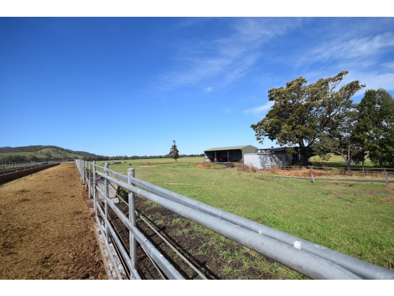 170 Jennings Lane, Bolong NSW 2540