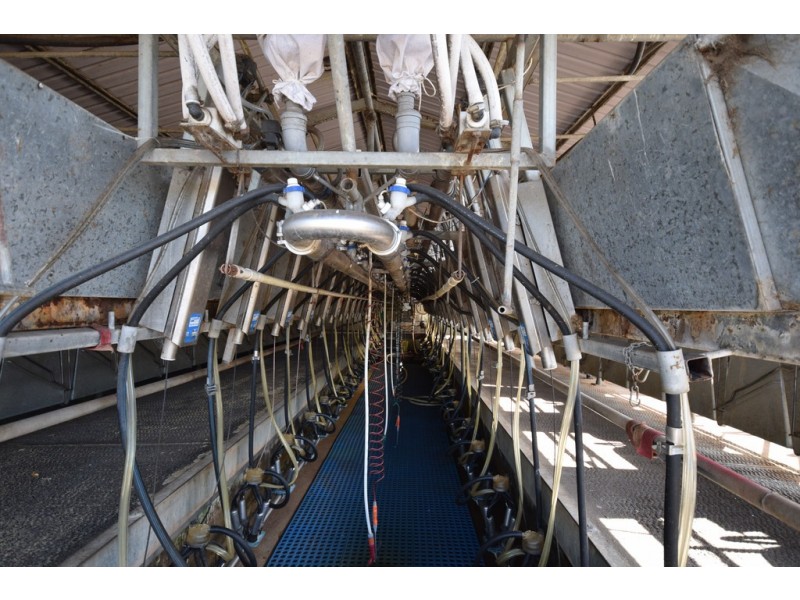 170 Jennings Lane, Bolong NSW 2540