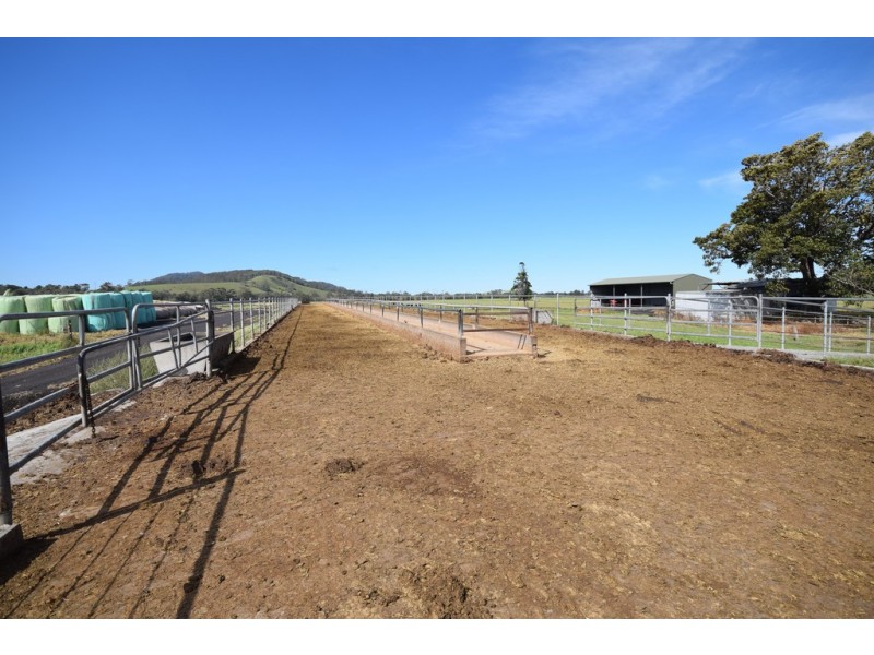 170 Jennings Lane, Bolong NSW 2540