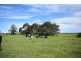 170 Jennings Lane, Bolong NSW 2540