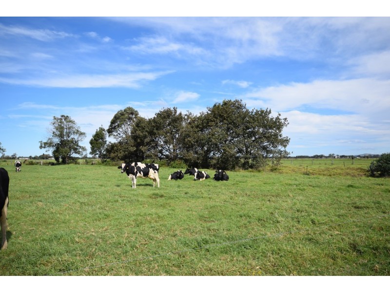 170 Jennings Lane, Bolong NSW 2540