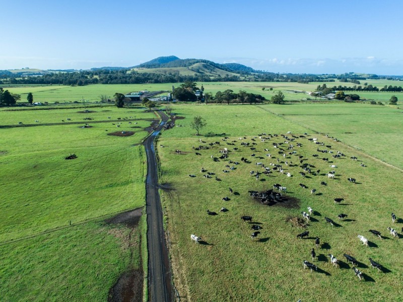 170 Jennings Lane, Bolong NSW 2540