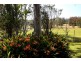 15 Bryces Road, Berry NSW 2535