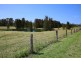 15 Bryces Road, Berry NSW 2535