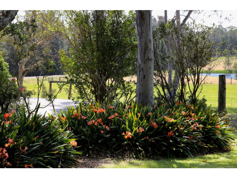 15 Bryces Road, Berry NSW 2535
