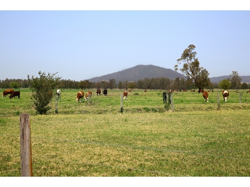 55B Mullers Lane, Berry NSW 2535