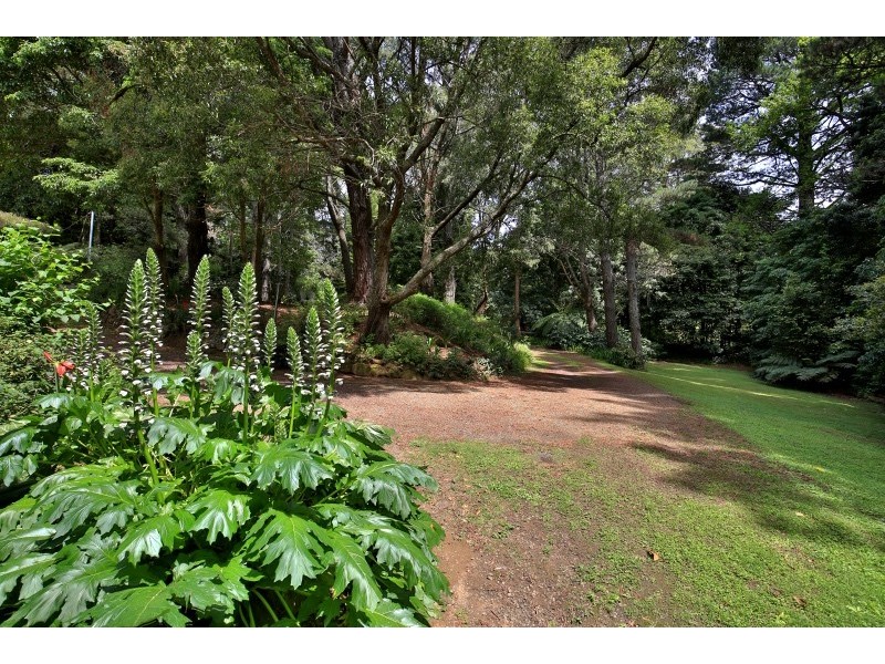 406 Tourist Road, Beaumont NSW 2577