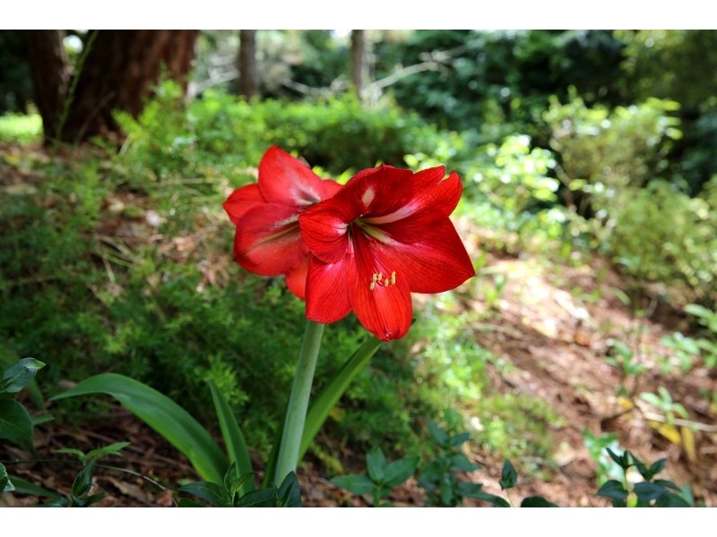 406 Tourist Road, Beaumont NSW 2577