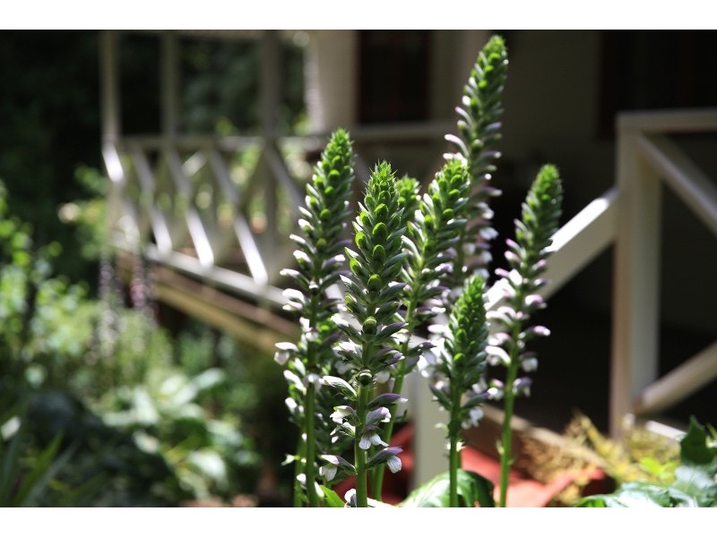 406 Tourist Road, Beaumont NSW 2577