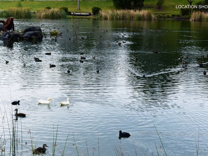 117 Quinns Lane, South Nowra NSW 2541