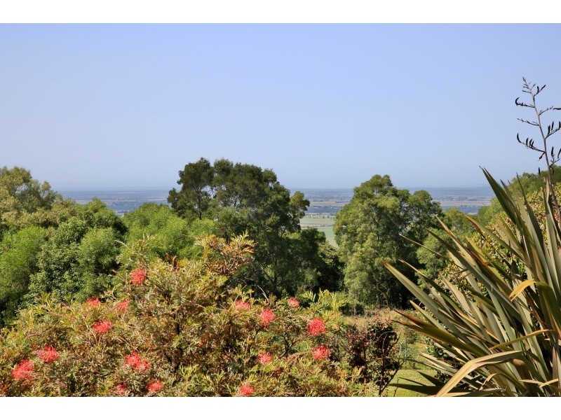 465 Strongs Road, Jaspers Brush NSW 2535