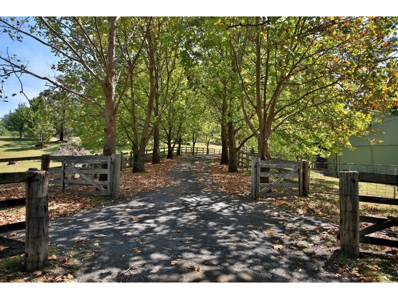 465 Strongs Road, Jaspers Brush NSW 2535